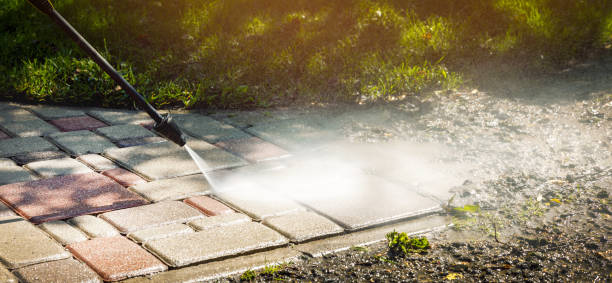 Best Animal Enclosure Cleaning  in Stephenville, TX
